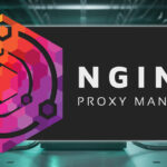 Nginx Proxy Manager